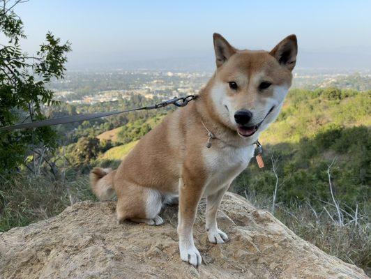 Fryman Canyon Park