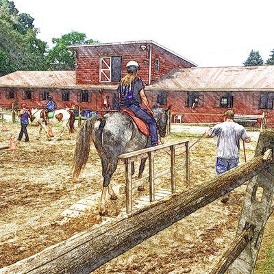 Come One, Come ALL... Learn about your neighborhood horses!