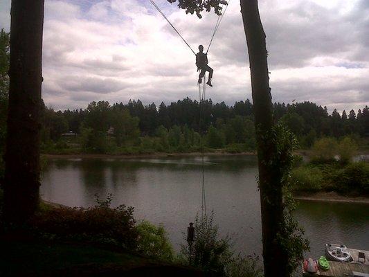 Arborist Tree Pruning On Willamette River