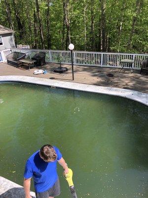 This is how my pool looked this spring when opened after they so called winterized my pool