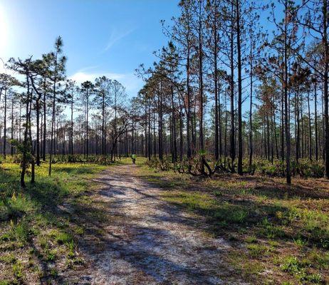 Julington-Durbin Preserve