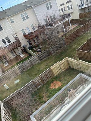 Top view of the backyard