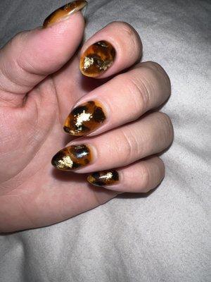 Tortoise shell Kokoist Hard Gel Overlay