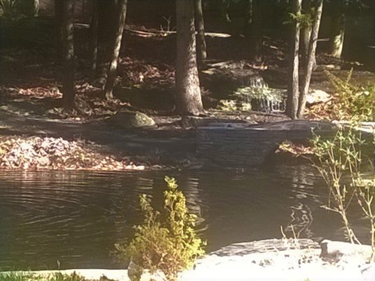 natural pond restoration- and this country setting wouldn't be complete without a new bluestone arched bridge. paver walkway and waterfall