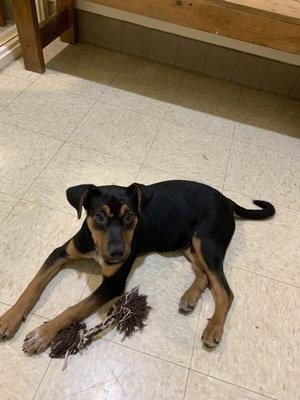 Our little baby Zora in the visitation area.