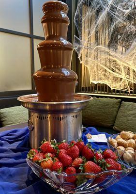 Chocolate Fountains Delite