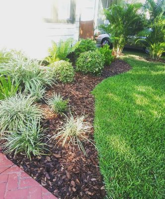 Residential Landscape Design and installation of plants, sod and mulch