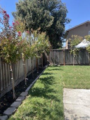 Trees and sod.