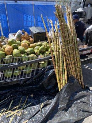 Sugar cane ready to be made into juice.