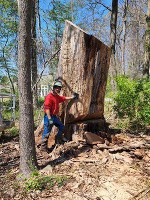 ChipperTree Service