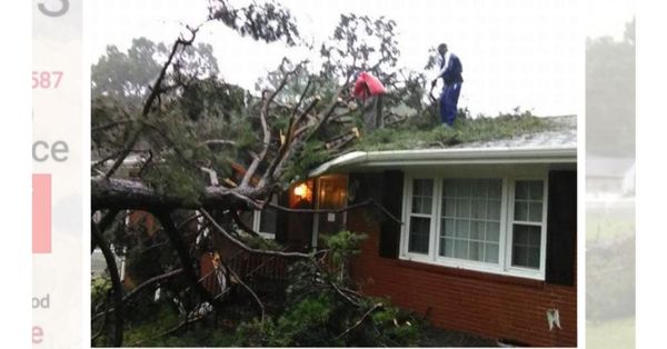 Hurricane michael visits raleigh!