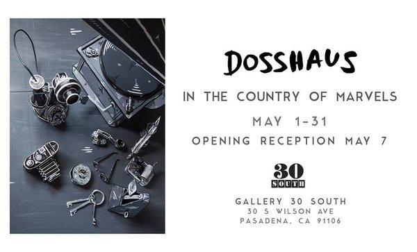 Advert for the May 2017 Dosshaus installation at @gallery30south