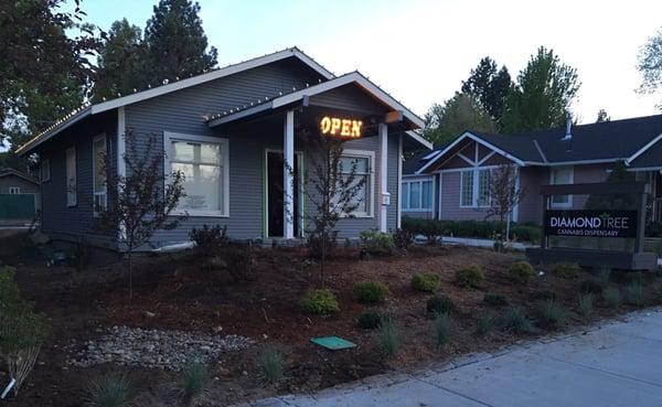 Diamond Tree on Galveston Avenue in Bend, Oregon