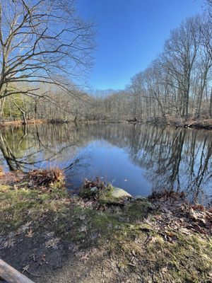 The fishing pond