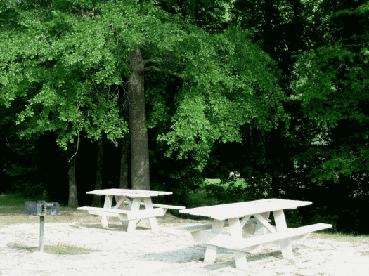 Picnic Area with BBQ Grill