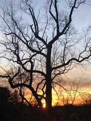 Sunset - outside North Belknap