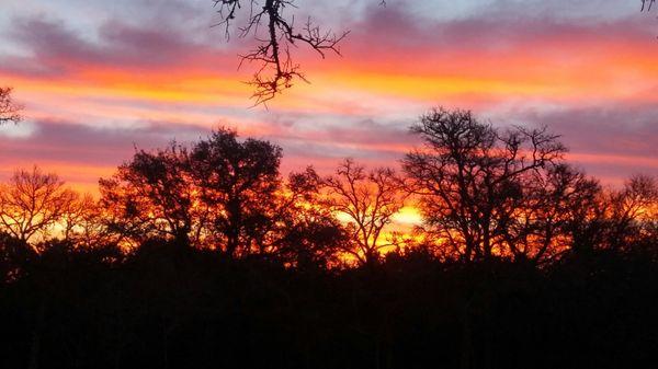 It's another beautiful evening at Hunt's Crossing RV Ranch!  Actual photo of sunset from property - photo was not re-touched.