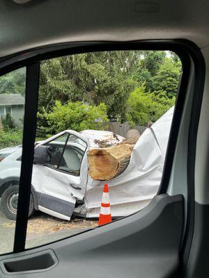 Removing a falling tree out of truck