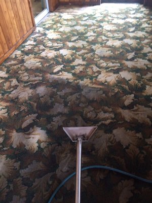 Deep cleaning a dining room carpet in a restaurant