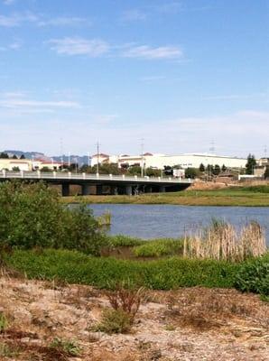 Watsonville Wetlands