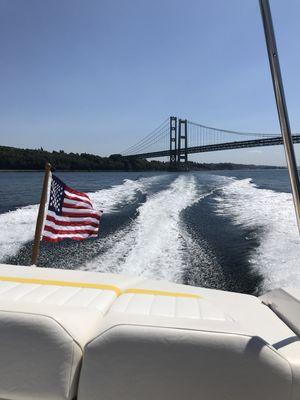 Summer under the Tacoma Narrows Bridge