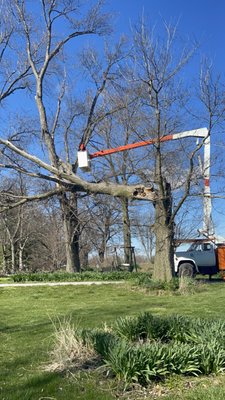 Kunz & Son Tree Service