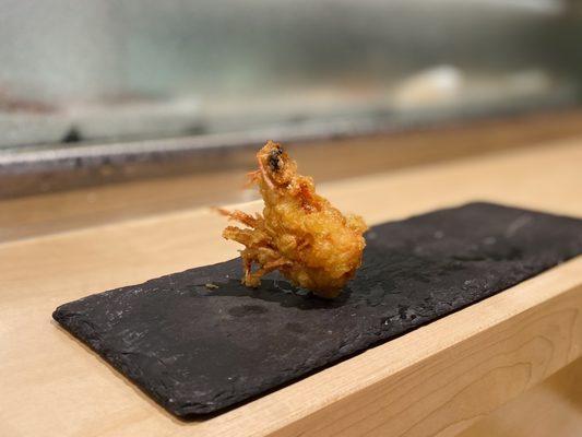 Omakase nigiri 7/6/23