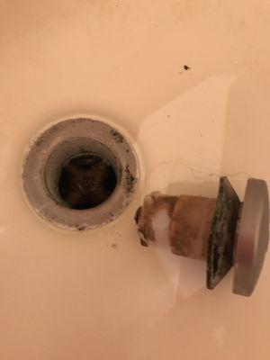 Shower after 4 months got backed up and this is what the plug and drain looked like. NO HELP