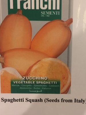 Winter squash. Seeds from Italy