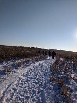 Hidden falls trail