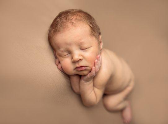 Newborn Photography by Shannon Revelle, Metro Detroit Newborn and Maternity photographer.