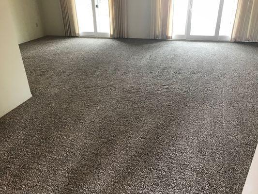 freshly cleaned carpet