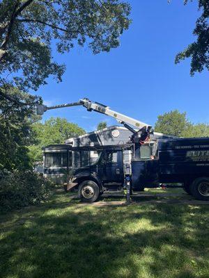 Stretching out to remove oak limbs over a clients house. Call-/text for a free estimate