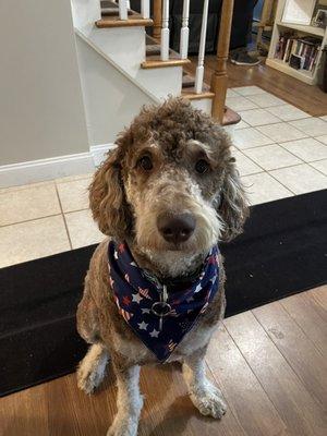 This is two of his haircuts same day when he came home before I had to fix his hair