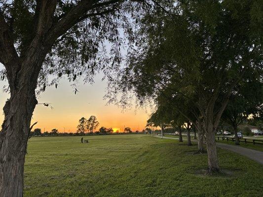 Running @ park