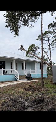 Tree removal from hurricane