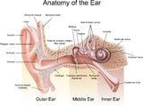 Vestibular rehab for dizziness