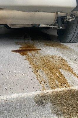 Told good "good luck with that" and hung up on when following up on these guys giving my garage floor an oil bath. Buyer beware.