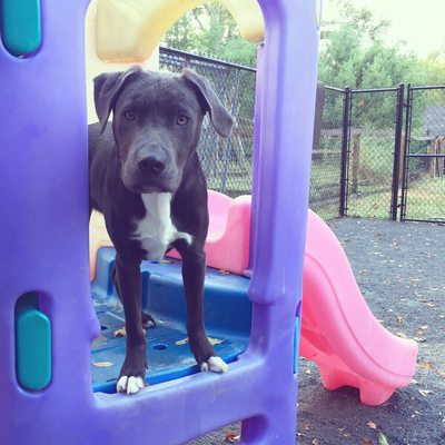 Playtime in the daycare