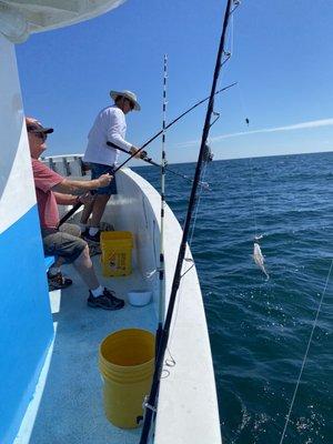 Fishing on rough waters