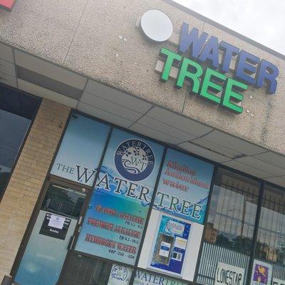 Water Tree - Houston