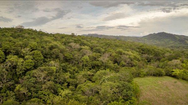 Eco Living Nicaragua | San Juan del Sur | Properties for Sale | Lots for Home & Busines