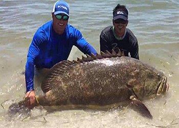 Goliath grouper fishing captain