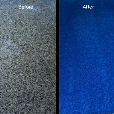 Carpet Cleaning