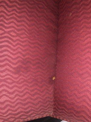 Crumbs and stains on furniture