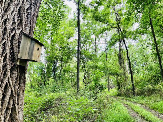 Nature trail