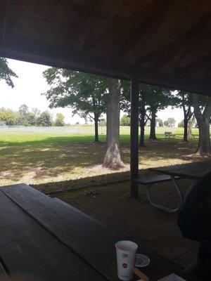 Having a picnic with my girls