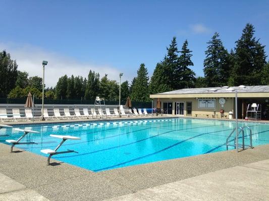 Great day for the pool