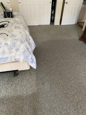 Steam Dream Carpet Cleaning