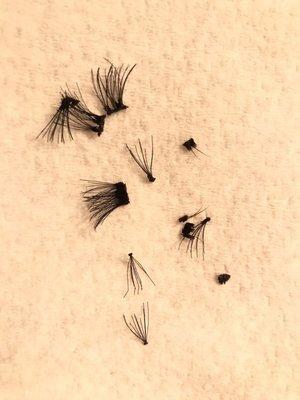 Some of the carnage from my eyelash extensions. The amount of glue used was unreal.